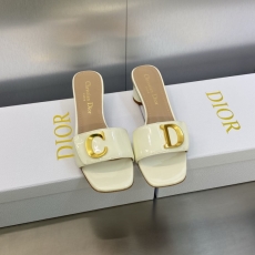 Christian Dior Slippers